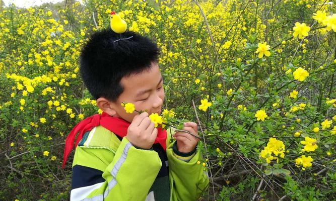 《电影世界的冒险之旅》（让我快乐的趣事）