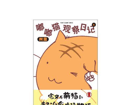 猫之春（我与小猫的相遇）