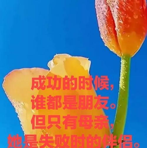 母爱的赞美（妈妈的赞美，让我勇往直前）