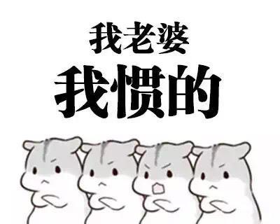 听听月亮（一个灵魂的故事）