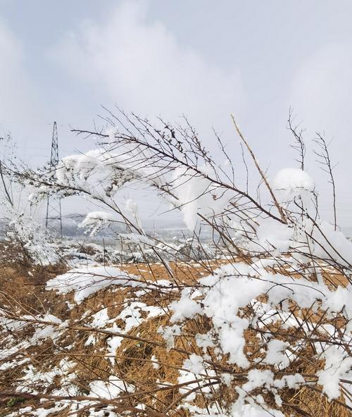 冬日童话：一场奇幻之旅