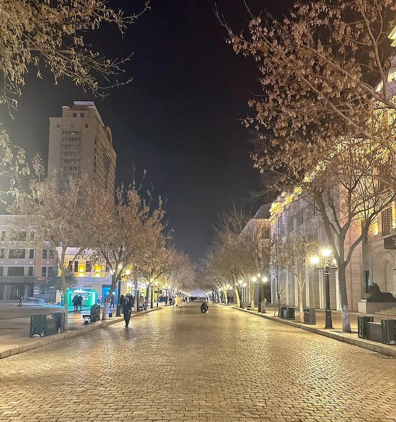 心灵的雪（一场没有落下的雪）