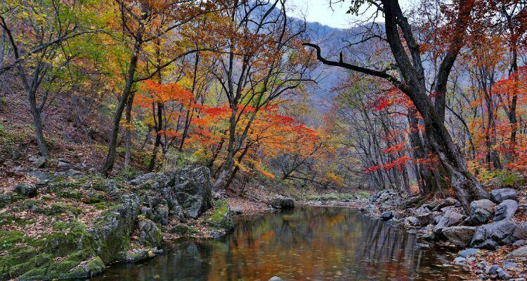 大自然的馈赠——故乡美景（在山水中品味生命的美好）