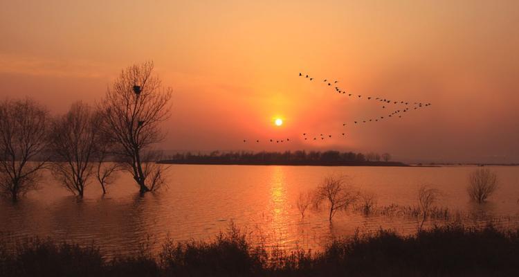 橙黄色的温暖——夕阳美景（从黄昏到夜晚，万物在晚光中泛起了无限美）